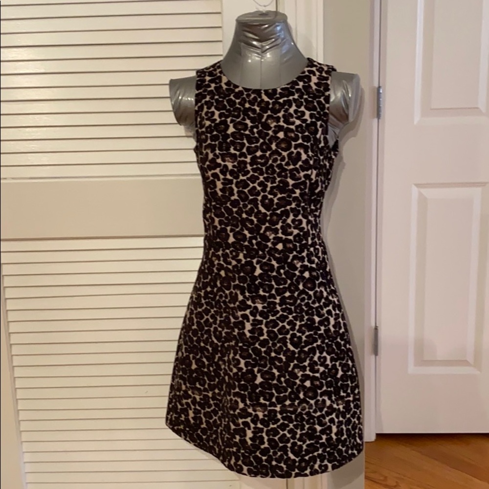 Leopard Print Dress
